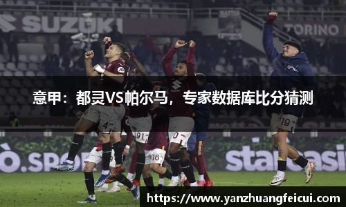 意甲：都灵VS帕尔马，专家数据库比分猜测